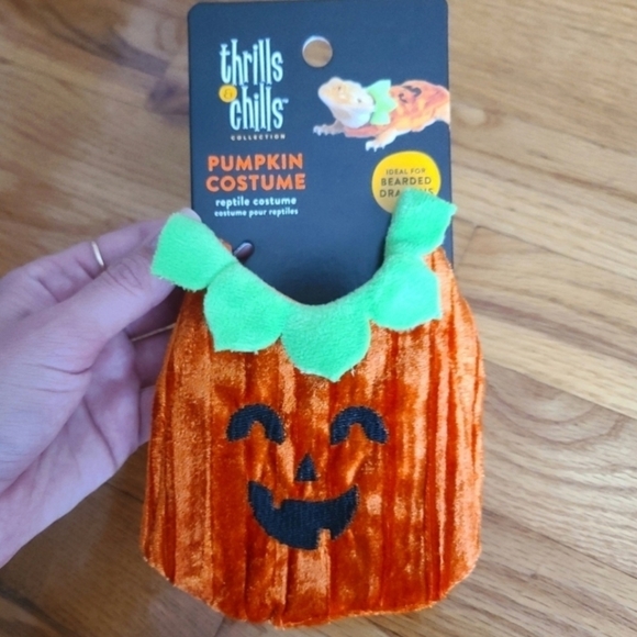 Thrills & Chills Reptile Pumpkin JackOLantern Halloween Costume Bearded Dragon - Picture 1 of 3